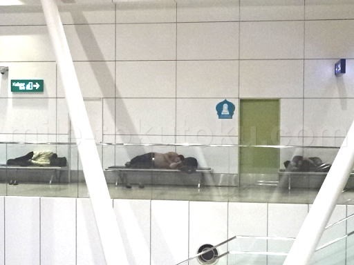クアラルンプール空港 乗り継ぎ 仮眠中の人