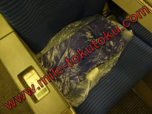 ANA/エアージャパン 767-300 エコノミークラス 枕