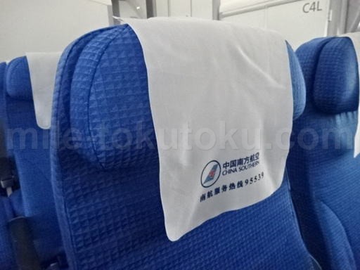 中国南方航空 エコノミークラス ヘッドレスト