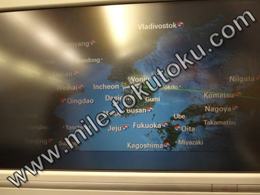 大韓航空 エコノミークラス フライトマップ