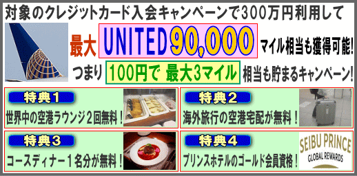 �A���b�N�X300�����p�Ń��i�C�e�b�h�ő�90000�}�C��