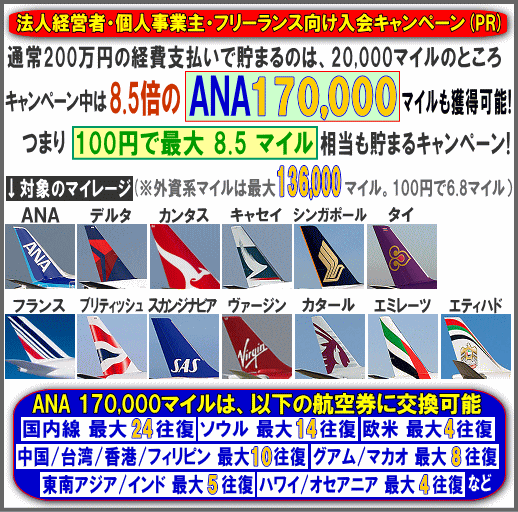 �o���Amex�@�l�J�[�h�Ŏx�����čő�ANA17���}�C���l��