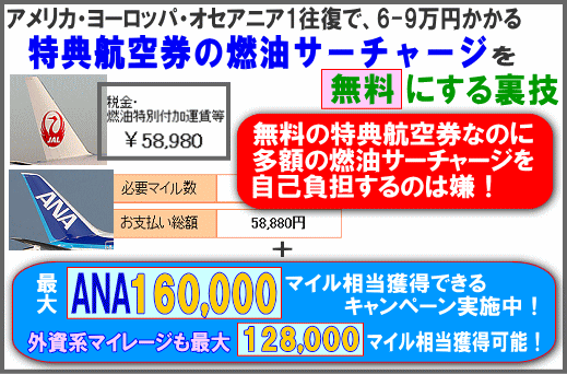 特典航空券 燃油サーチャージ 毎回無料にする裏技