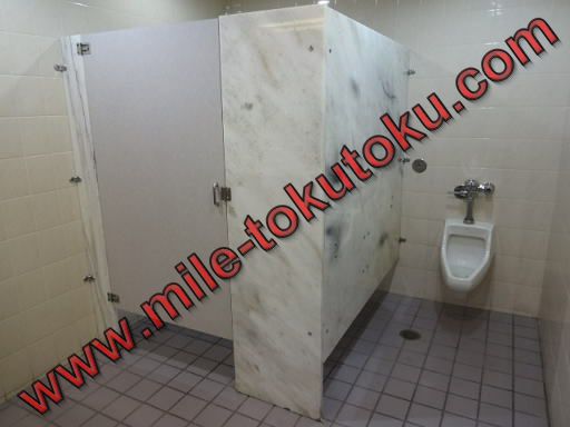 ホノルル空港 デルタ航空ラウンジ 男性トイレ
